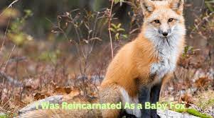 i was reincarnated as a baby fox god chapter 3
