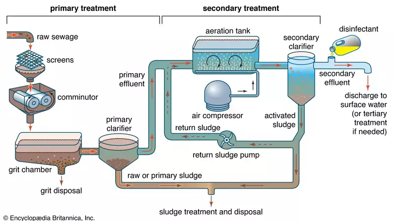 Purifying the Flow Inside a Wastewater Treatment Plant